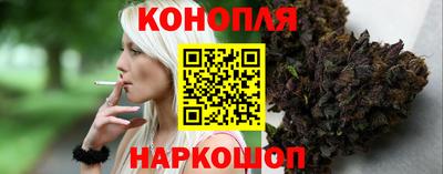 молекула духа Камышлов