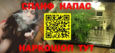 молекула духа Камышлов