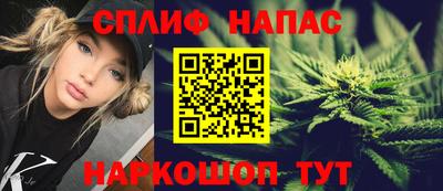 молекула духа Камышлов