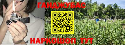 молекула духа Камышлов